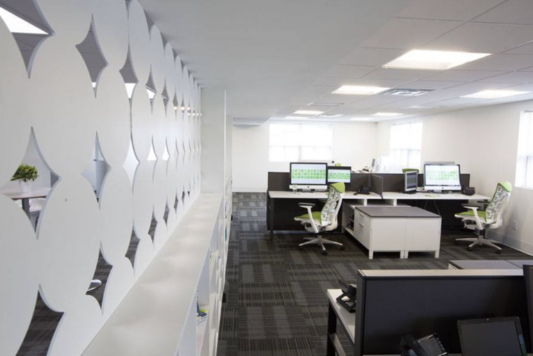 Treefrog Office Interior Design