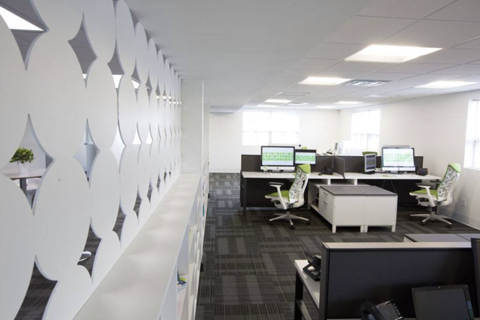 Treefrog Office Interior Design
