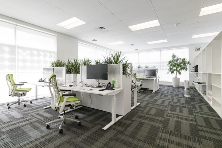 Treefrog Office Interior Design