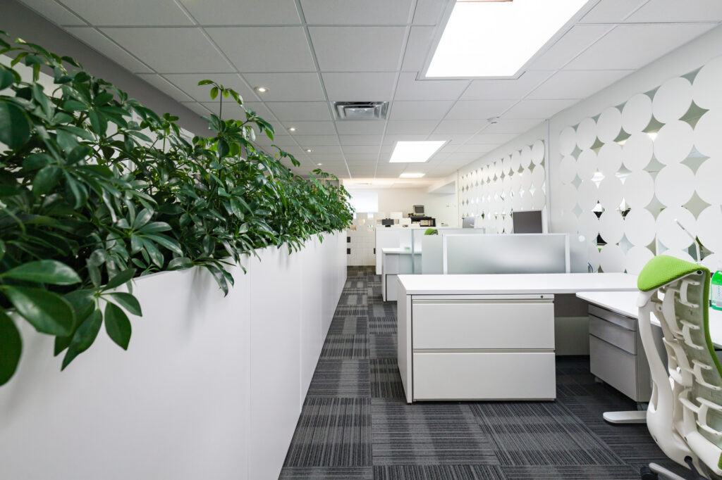 Office Interior Design